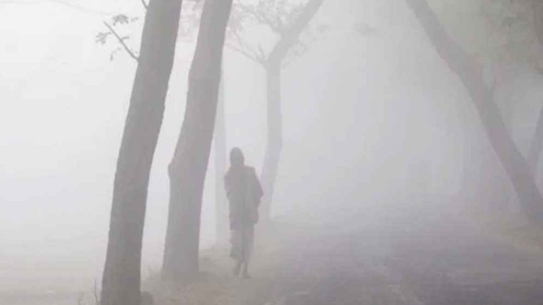 শীতের তীব্রতা আর কতদিন থাকতে পারে? আবহাওয়াবিদরা কি বলছেন?